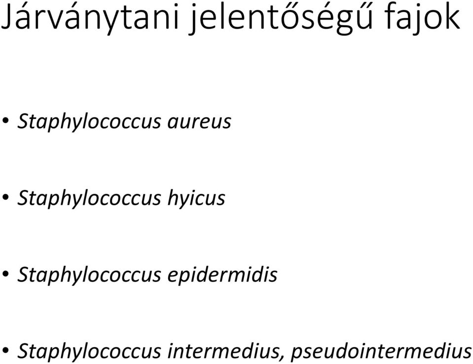 hyicus Staphylococcus epidermidis