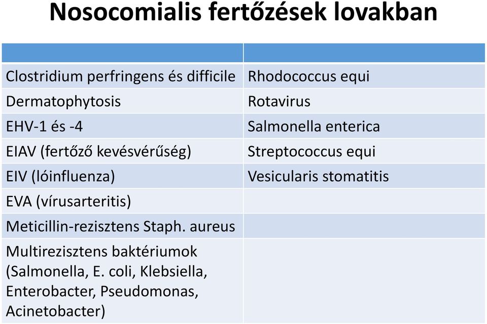 Meticillin-rezisztens Staph. aureus Multirezisztens baktériumok (Salmonella, E.