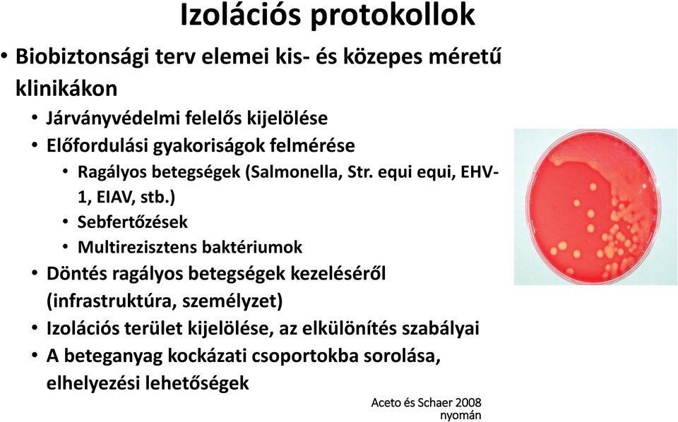 ) Sebfertőzések Multirezisztens baktériumok Döntés ragályos betegségek kezeléséről (infrastruktúra, személyzet)