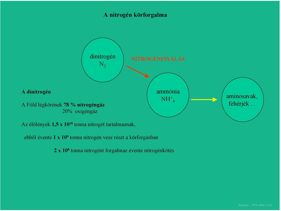 .. Az élőlények 1,5 x 10 10 tonna nitrogét tartalmaznak, ebből évente 1 x 10 9
