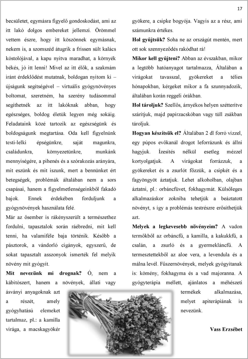 Mivel az itt élők, a szakmám iránt érdeklődést mutatnak, boldogan nyitom ki újságunk segítségével virtuális gyógynövényes boltomat, szeretném, ha szerény tudásommal segíthetnék az itt lakóknak abban,