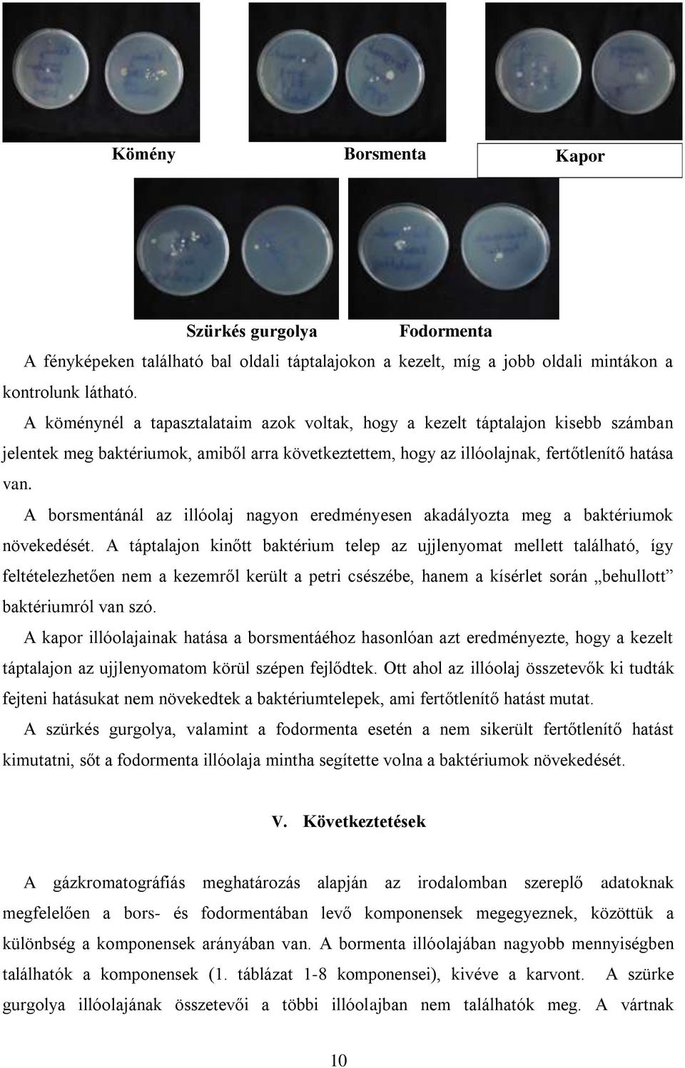 A borsmentánál az illóolaj nagyon eredményesen akadályozta meg a baktériumok növekedését.