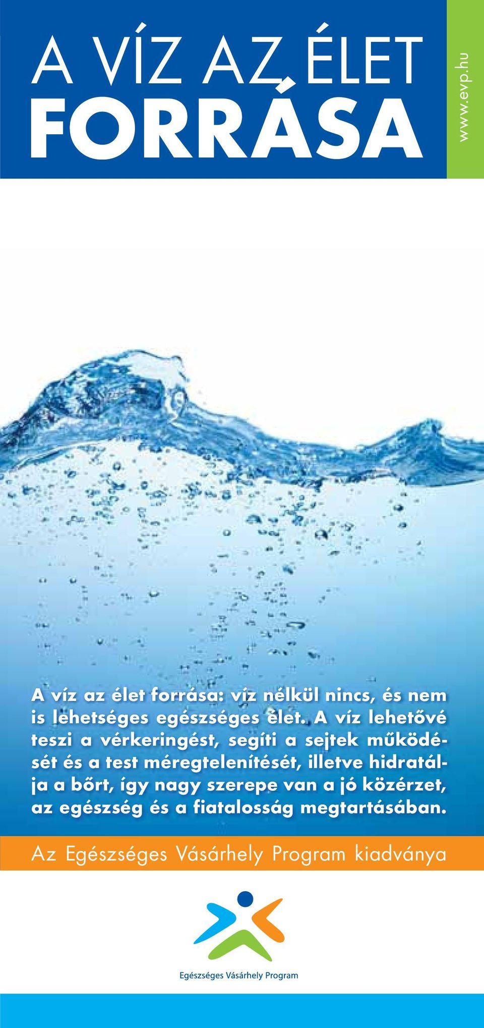 A víz lehetővé teszi a vérkeringést, segíti a sejtek működését és a test
