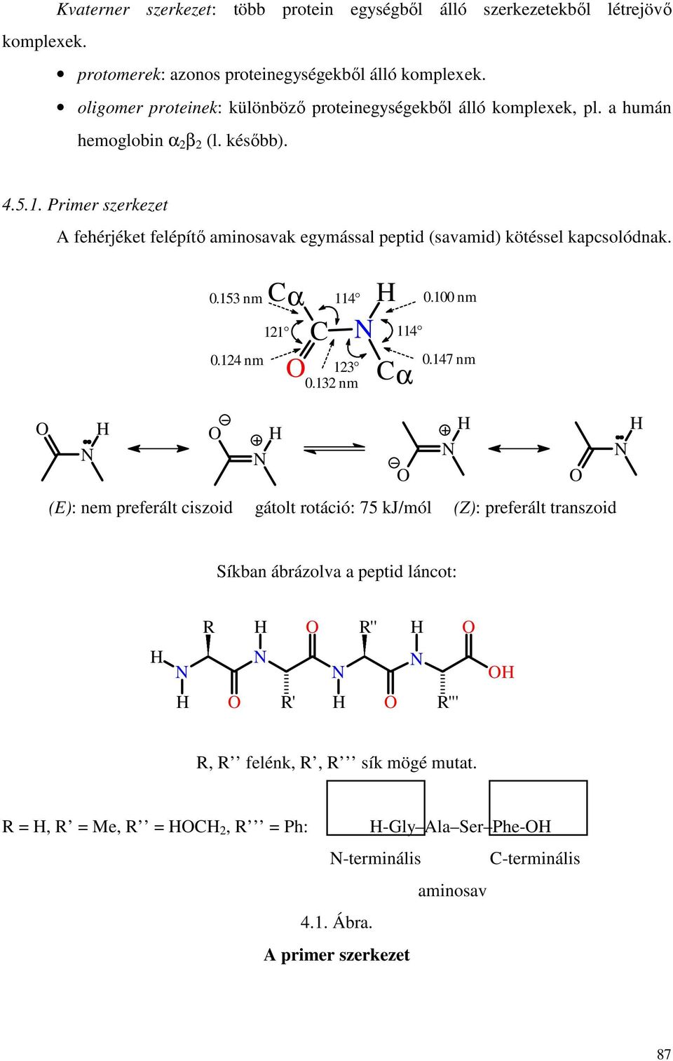 Primer szerkezet A fehérjéket felépítı aminosavak egymással peptid (savamid) kötéssel kapcsolódnak. 0.153 nm 0.124 nm Cα 114 C 123 Cα 121 0.132 nm 114 0.100 nm 0.