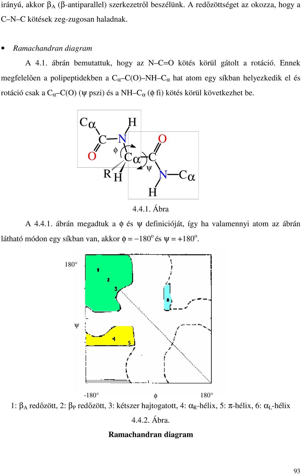 Ennek megfelelıen a polipeptidekben a C α C() C α hat atom egy síkban helyezkedik el és rotáció csak a C α C() (ψ pszi) és a C α (φ fi) kötés körül következhet be. Cα C 4.4.1.