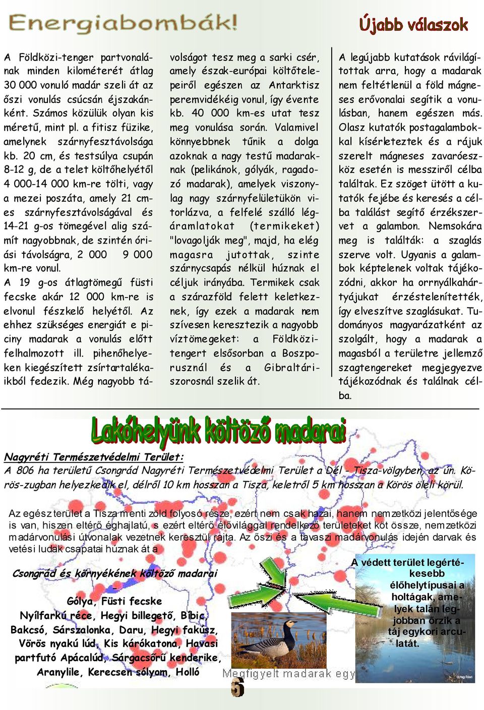 A 19 g-o álagömgű füi fc aá 12 000 m- i lvoul félő hlyéől. A hh üég giá piciy madaa a voulá lő flhalmoo ill. pihőhly igéí íaaléaiból fdi.