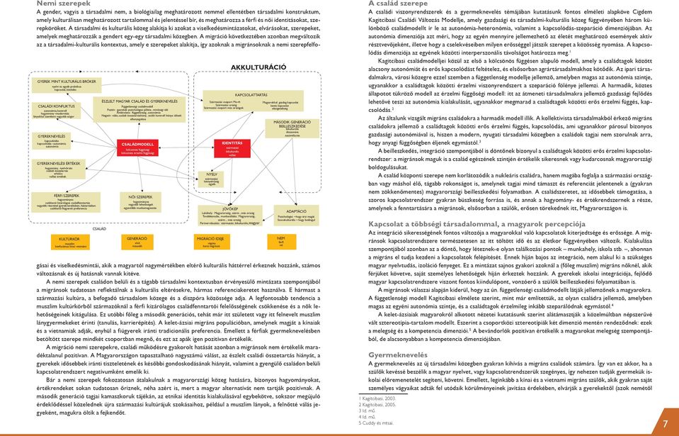 részvétel gyereknevelésben, háztartásban csökkenő fiúgyerek preferencia KULTÚRKÖR muszlim konfuciánus kínai -vietnámi ÉSZLELT MAGYAR CSALÁD ÉS GYEREKNEVELÉS Függetlenségi családmodell Pozitív :