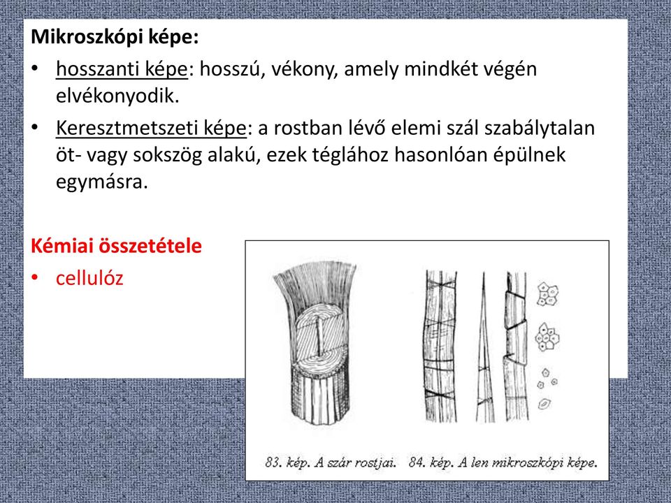 Keresztmetszeti képe: a rostban lévő elemi szál