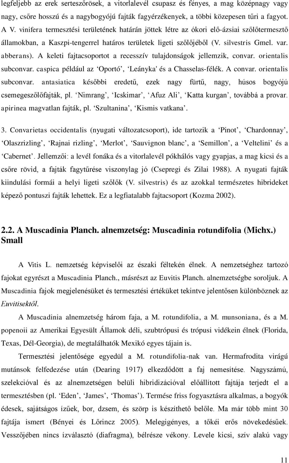 A keleti fajtacsoportot a recesszív tulajdonságok jellemzik, convar. orientalis subconvar. caspica például az Oportó, Leányka' és a Chasselas-félék. A convar. orientalis subconvar. antasiatica későbbi eredetű, ezek nagy fürtű, nagy, húsos bogyójú csemegeszőlőfajták, pl.