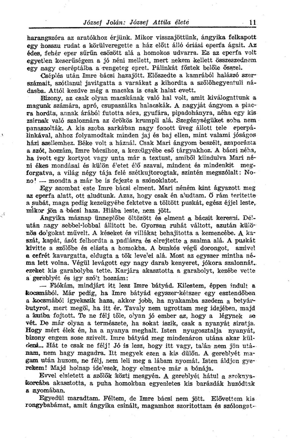 Előszedte a kamrából halászó szerszámait, szótlanul javitgatta a varsákat s kihordta a szőlőhegyentuli nádasba. Attól kezdve még a macska is csak halat evett.