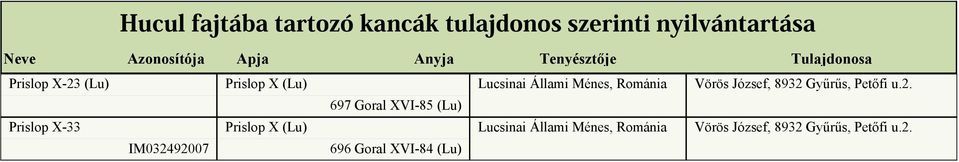 Prislop X-33 Prislop X (Lu)