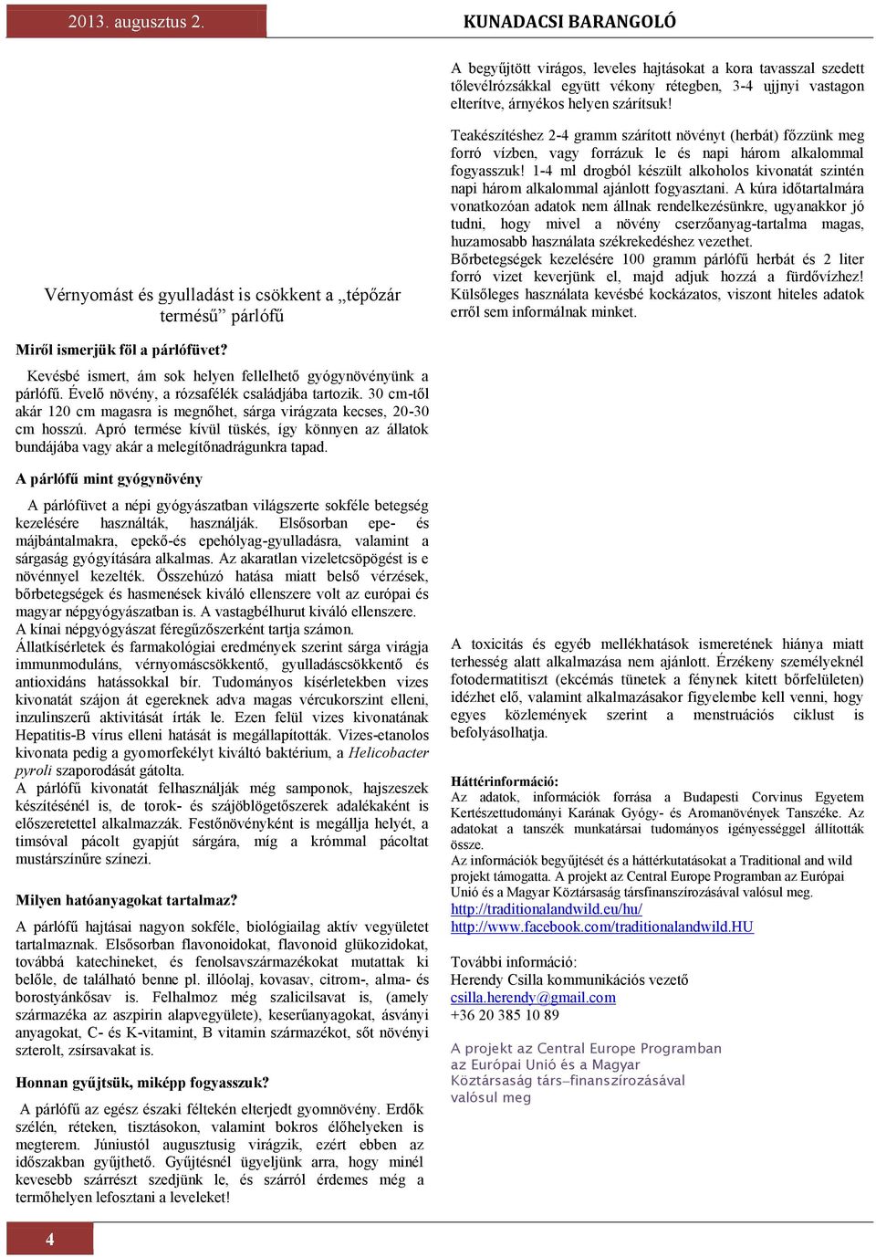 Vérnyomást és gyulladást is csökkent a tépőzár termésű párlófű Teakészítéshez 2-4 gramm szárított növényt (herbát) főzzünk meg forró vízben, vagy forrázuk le és napi három alkalommal fogyasszuk!