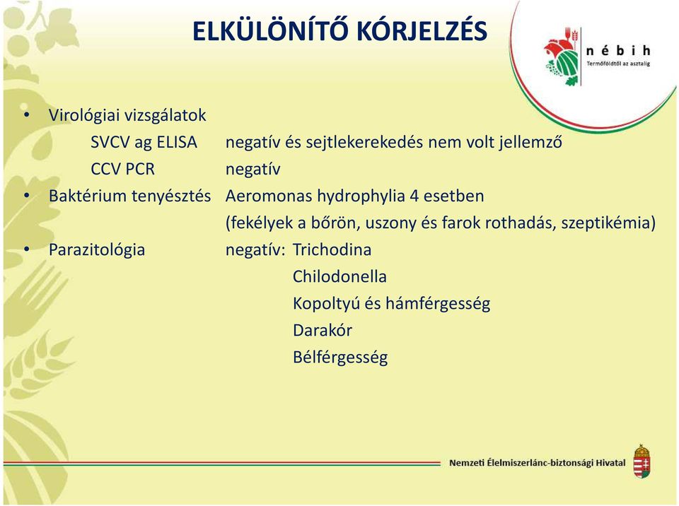 hydrophylia 4 esetben (fekélyek a bőrön, uszony és farok rothadás, szeptikémia)