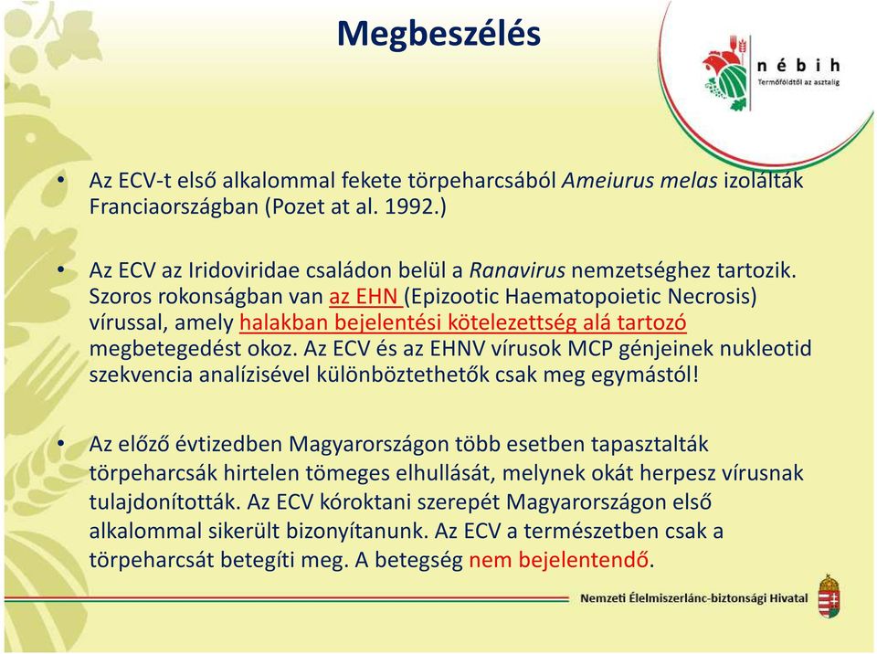 Szoros rokonságban van az EHN (Epizootic Haematopoietic Necrosis) vírussal, amely halakban bejelentési kötelezettség alá tartozó megbetegedést okoz.