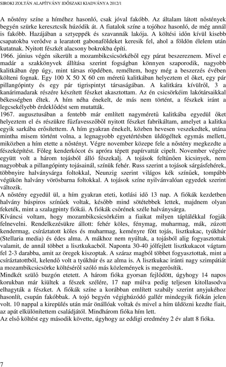 Nyitott fészkét alacsony bokrokba építi. 1966. június végén sikerült a mozambikcsicsörkéből egy párat beszereznem.