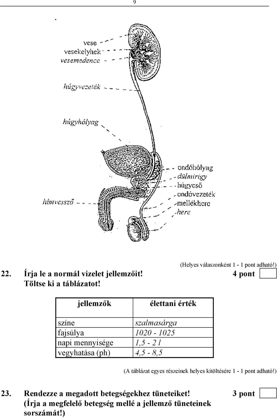 vegyhatása (ph) 4,5-8,5 (A táblázat egyes részeinek helyes kitöltésére 1-1 pont adható!) 23.