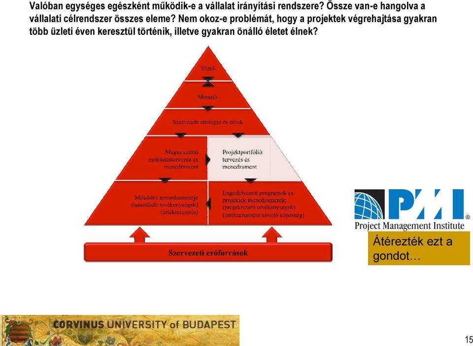 Nem okoz-e problémát, hogy a projektek végrehajtása gyakran több üzleti