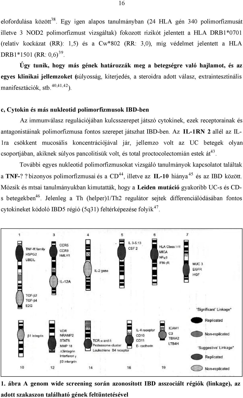 míg védelmet jelentett a HLA DRB1*1501 (RR: 0,6) 39.