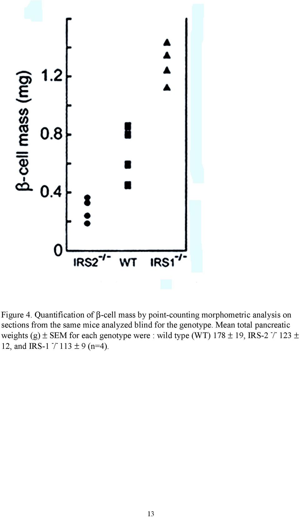 sections from the same mice analyzed blind for the genotype.