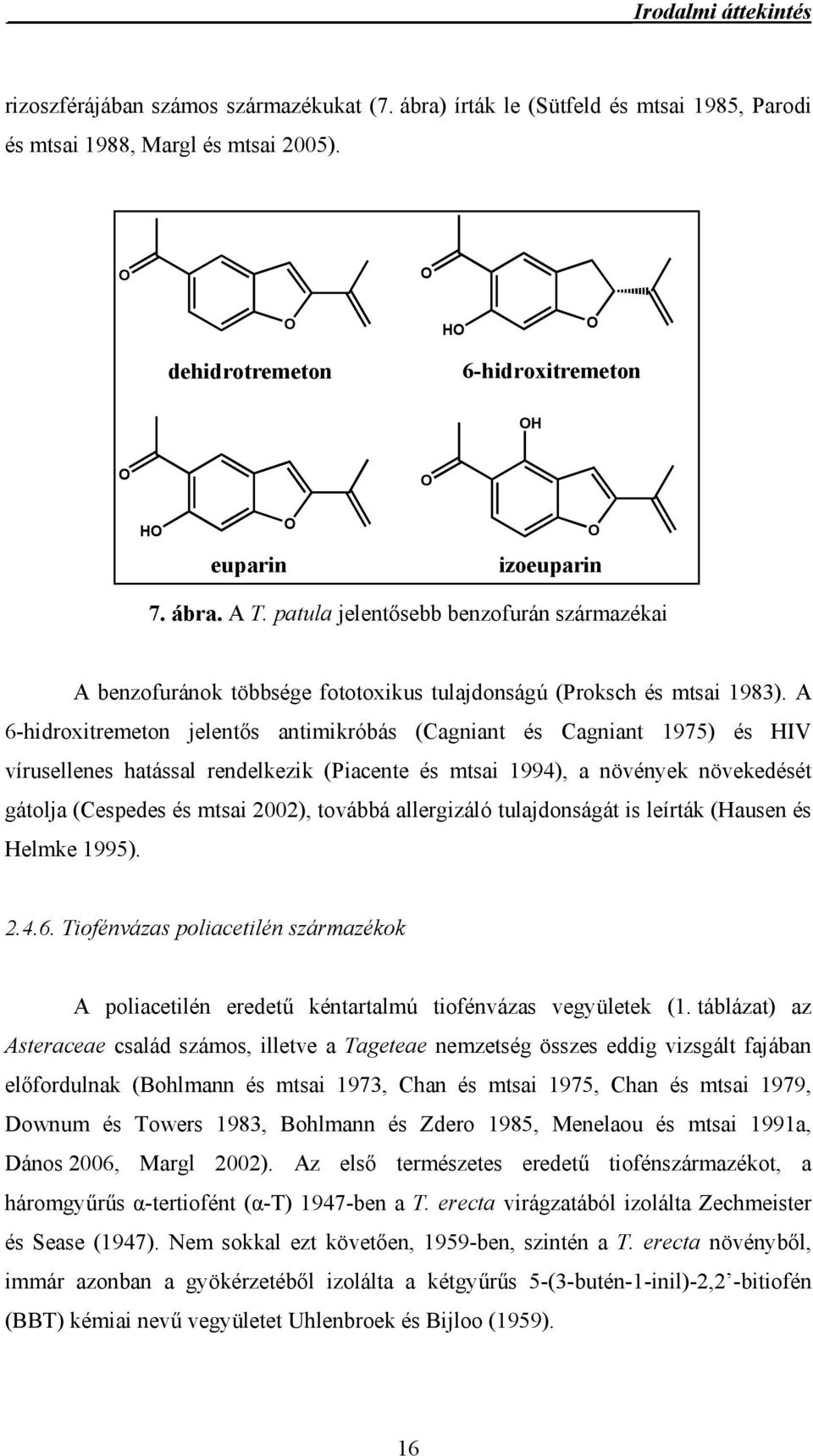 patula jelentősebb benzofurán származékai A benzofuránok többsége fototoxikus tulajdonságú (Proksch és mtsai 1983).