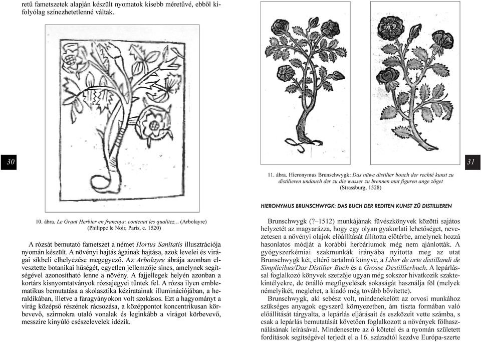 REDITEN KUNST ZÜ DISTILLIEREN 10. ábra. Le Grant Herbier en francoys: contenat les qualitez... (Arbolayre) (Philippe le Noir, Paris, c.