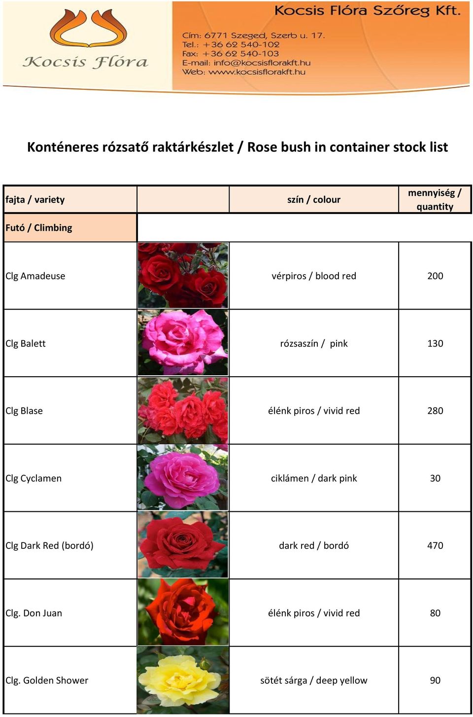 130 Clg Blase élénk piros / vivid red 280 Clg Cyclamen ciklámen / dark pink 30 Clg Dark Red (bordó)