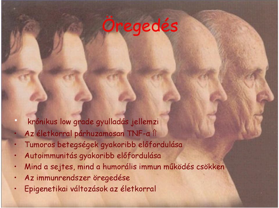 Autoimmunitás gyakoribb elıfordulása Mind a sejtes, mind a humorális