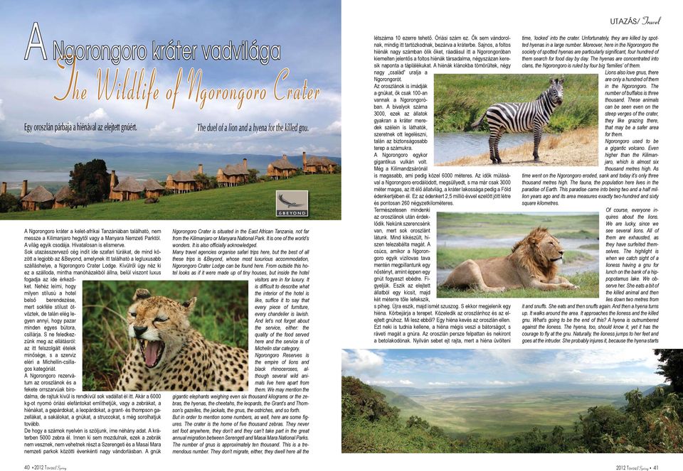 Sok utazásszervező cég indít ide szafari túrákat, de mind között a legjobb az &Beyond, amelynek itt található a legluxusabb szálláshelye, a Ngorongoro Crater Lodge.