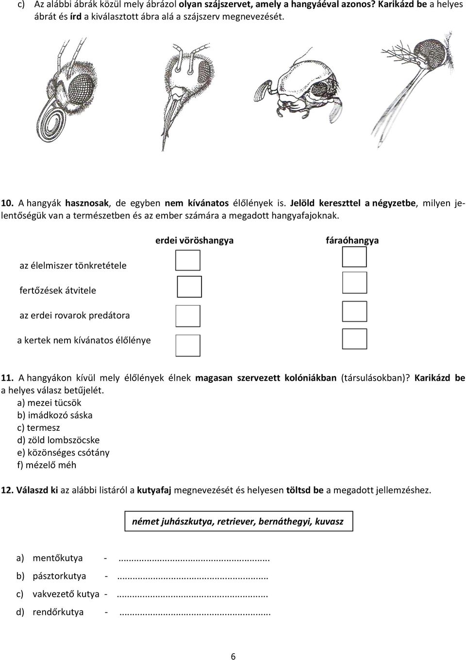 erdei vöröshangya fáraóhangya az élelmiszer tönkretétele fertőzések átvitele az erdei rovarok predátora a kertek nem kívánatos élőlénye 11.