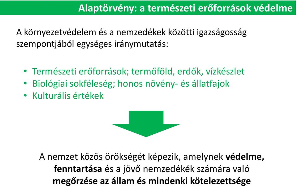 vízkészlet Biológiai sokféleség; honos növény- és állatfajok Kulturális értékek A nemzet közös