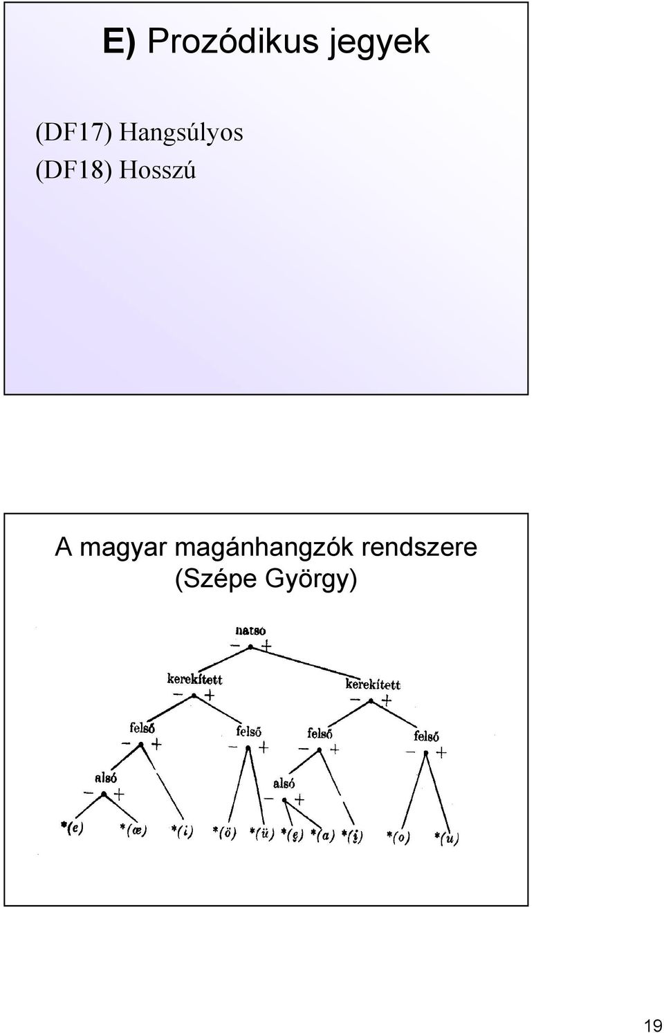 Hosszú A magyar