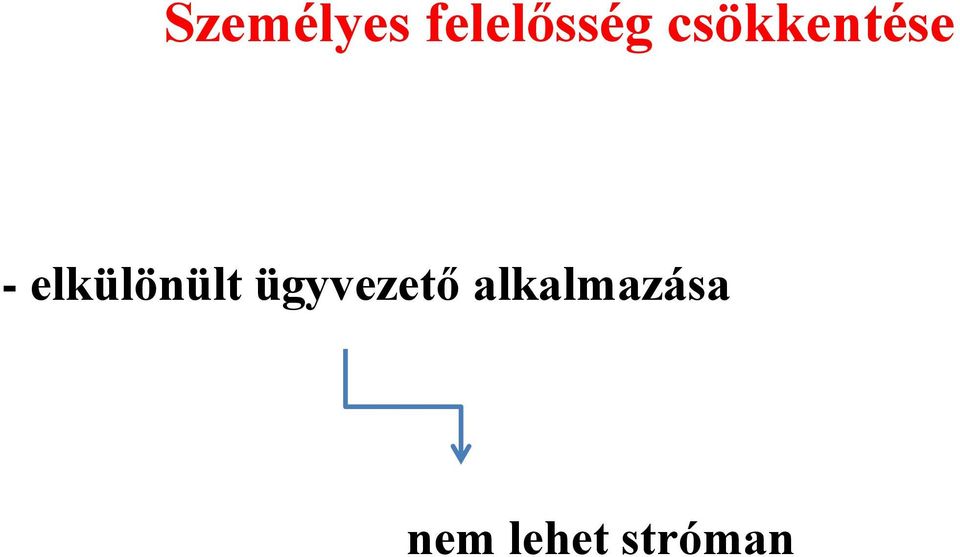 elkülönült ügyvezető