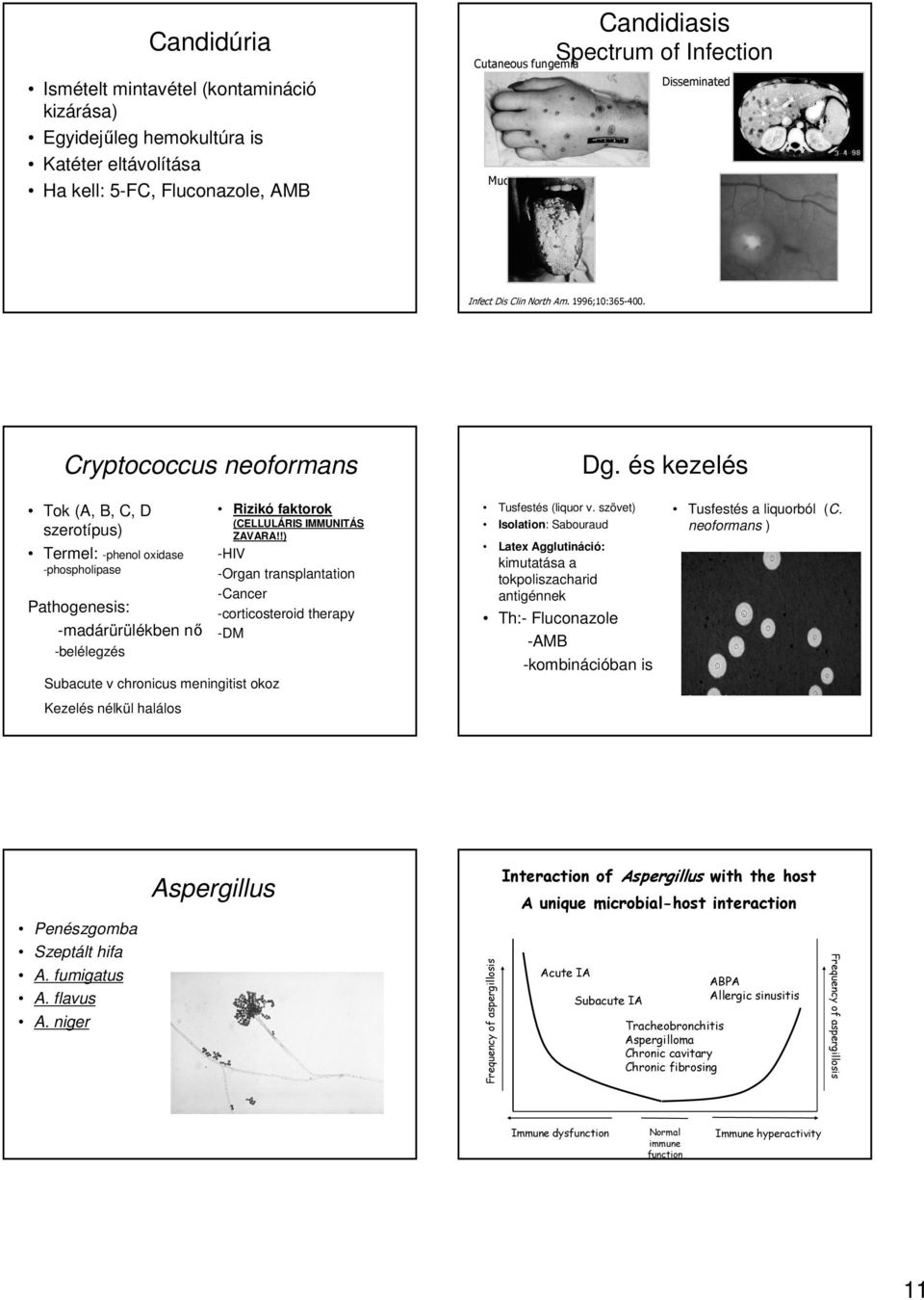és kezelés Tok (A, B, C, D szerotípus) Termel: -phenol oxidase -phospholipase Pathogenesis: -madárürülékben nő -belélegzés Subacute v chronicus meningitist okoz Kezelés nélkül halálos Rizikó faktorok