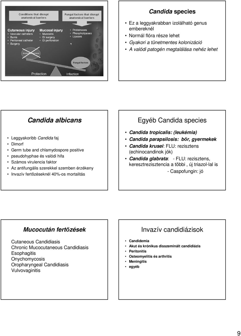 Candida species Candida tropicalis: (leukémia) Candida parapsilosis: bőr, gyermekek Candida krusei: FLU: rezisztens (echinocandinok jók) Candida glabrata: - FLU: rezisztens, keresztrezisztencia a