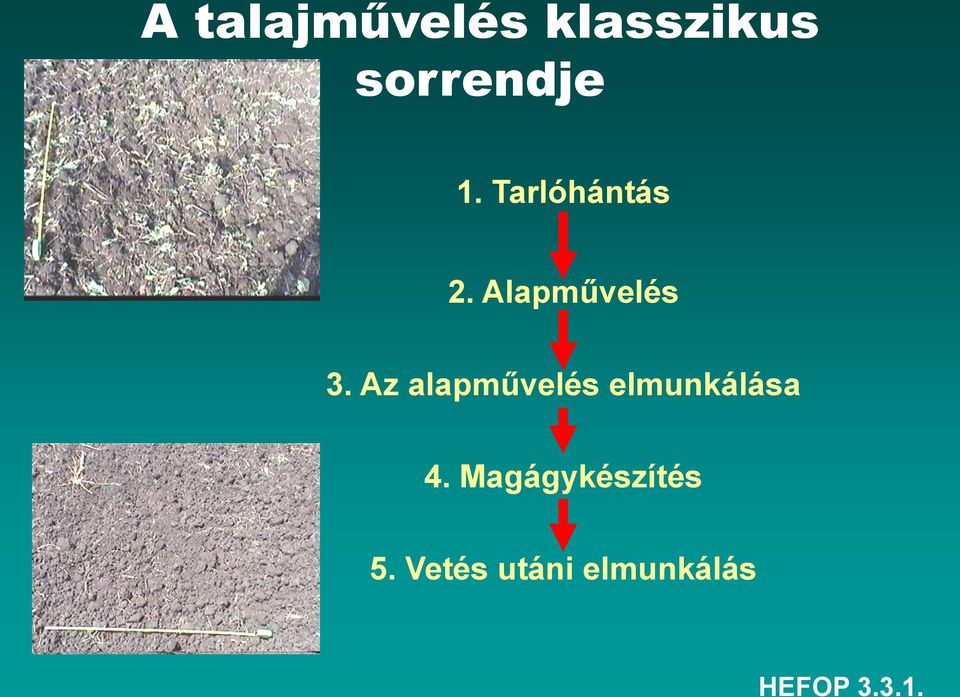 Alapművelés 3.