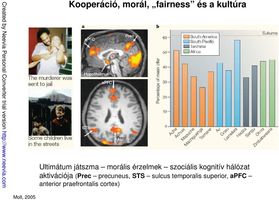 aktivációja (Prec precuneus, STS sulcus temporalis