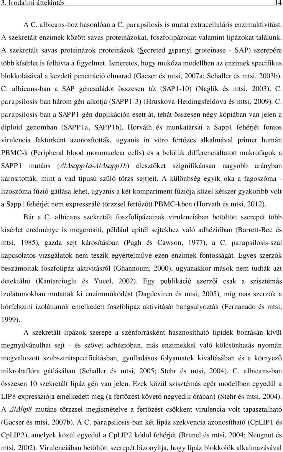 A szekretált savas proteinázok proteinázok (Secreted aspartyl proteinase - SAP) szerepére több kísérlet is felhívta a figyelmet.