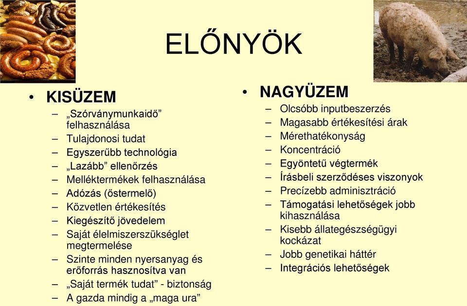 biztonság A gazda mindig a maga ura NAGYÜZEM Olcsóbb inputbeszerzés Magasabb értékesítési árak Mérethatékonyság Koncentráció Egyöntetű végtermék Írásbeli