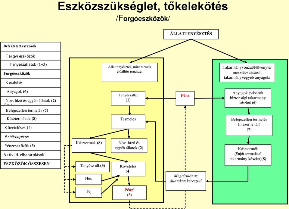 hízó és egyéb állatok (2) Állatok Befejezetlen termelés (7) Tenyészállat (1) Pénz Anyagok (vásárolt biztonsági takarmány készlet) (6) Késztermékek (8) K övetelések (4) Termelés