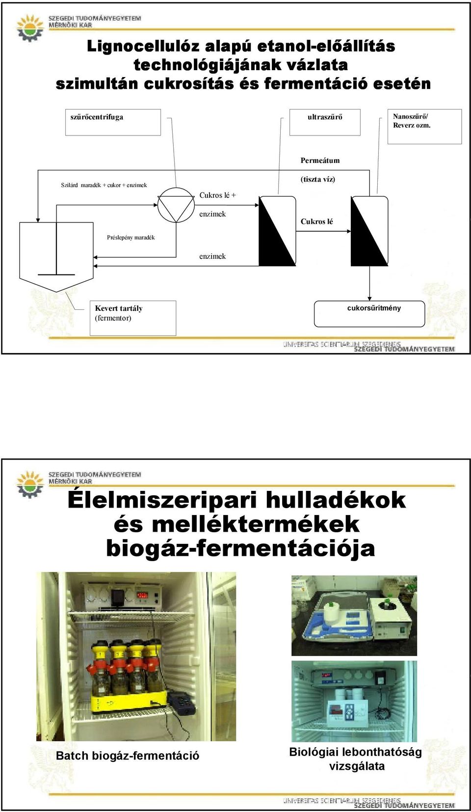 Permeátum Szilárd maradék + cukor + enzimek Préslepény maradék Cukros lé + enzimek (tiszta víz) Cukros lé