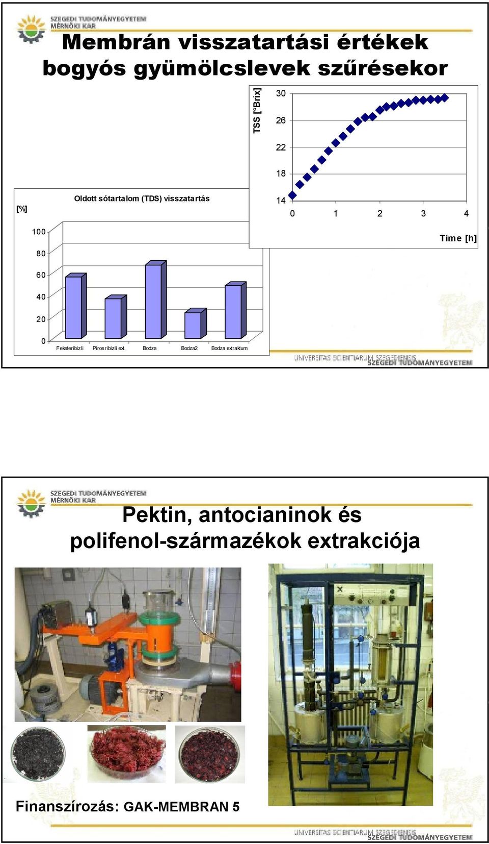 4 2 Feketeribizli Pirosribizli ext.