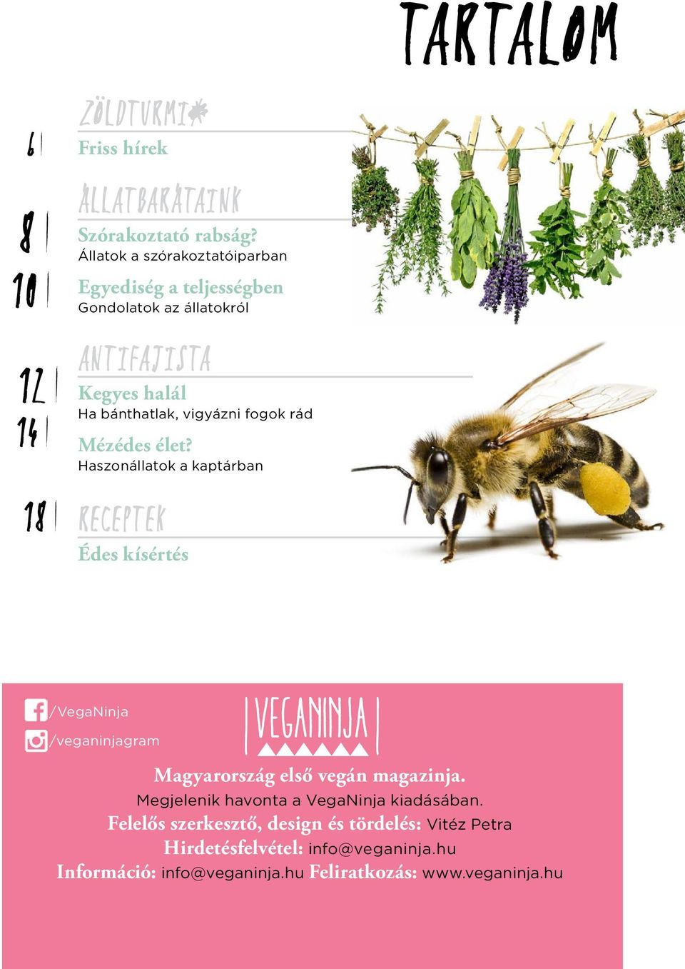 rád Mézédes élet? Haszonállatok a kaptárban Receptek Édes kísértés /VegaNinja /veganinjagram i Magyarország első vegán magazinja.