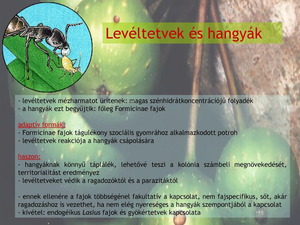 kolónia számbeli megnövekedését, territorialitást eredményez - levéltetveket védik a ragadozóktól és a parazitáktól - ennek ellenére a fajok többségénel fakultatív a