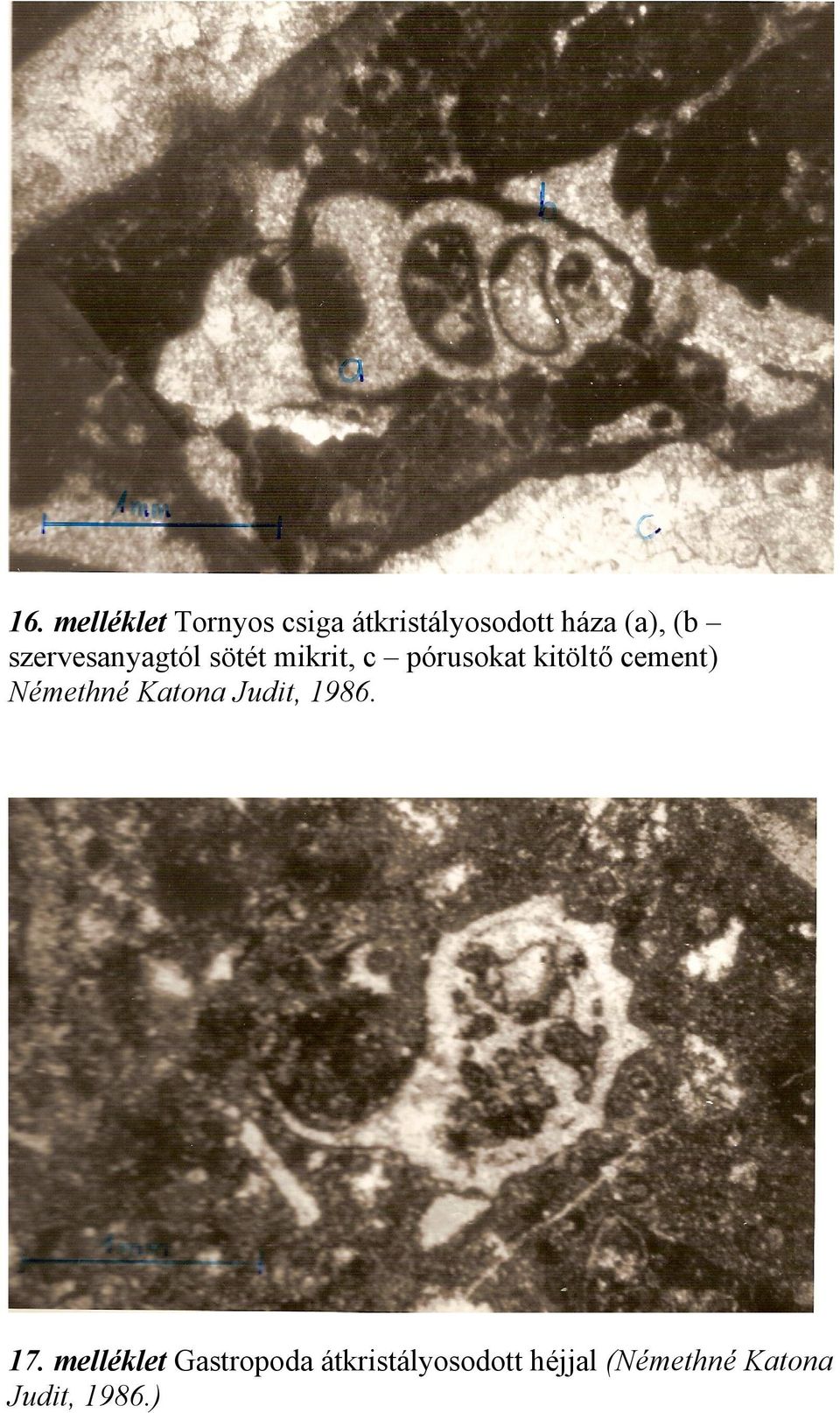 cement) Némethné Katona Judit, 1986. 17.