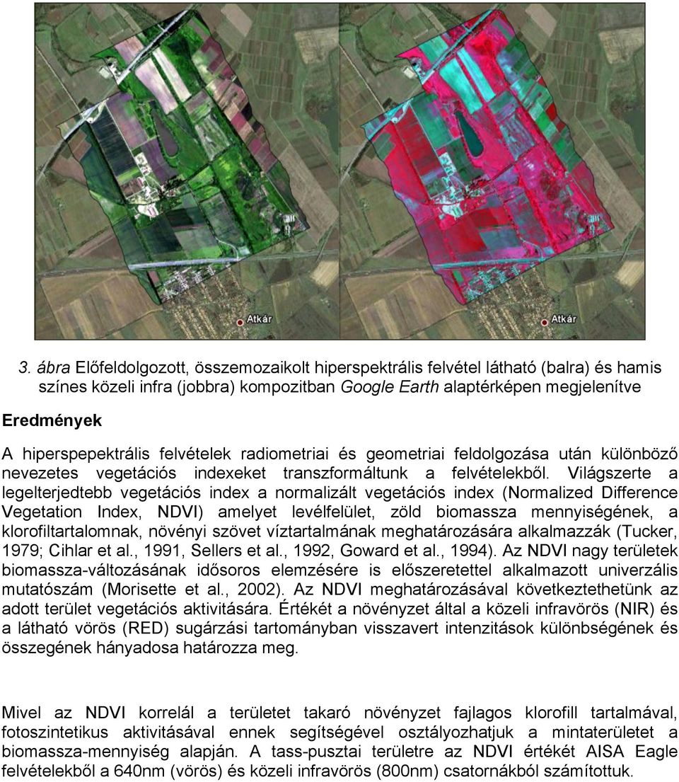 Világszerte a legelterjedtebb vegetációs index a normalizált vegetációs index (Normalized Difference Vegetation Index, NDVI) amelyet levélfelület, zöld biomassza mennyiségének, a klorofiltartalomnak,