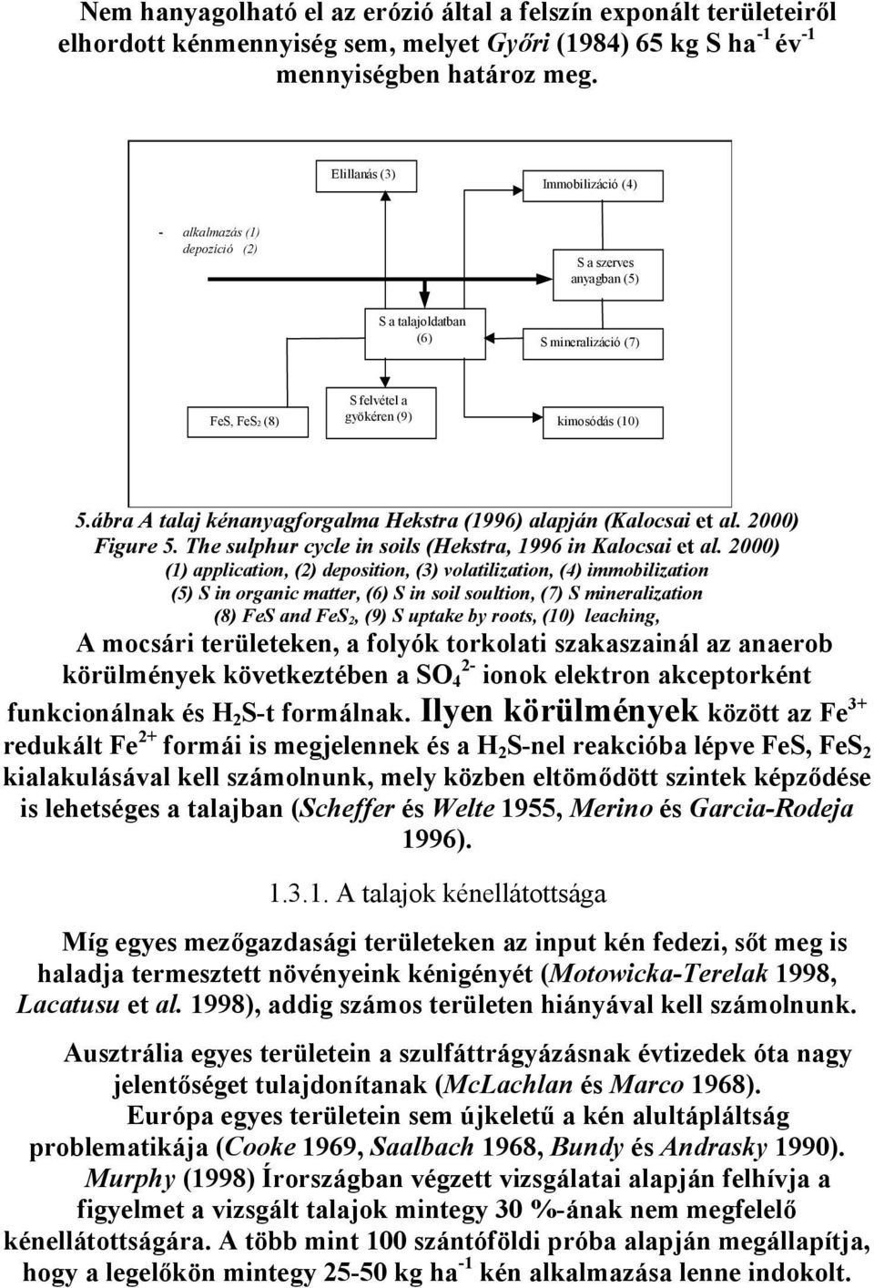 ábra A talaj kénanyagforgalma Hekstra (1996) alapján (Kalocsai et al. 2000) Figure 5. The sulphur cycle in soils (Hekstra, 1996 in Kalocsai et al.