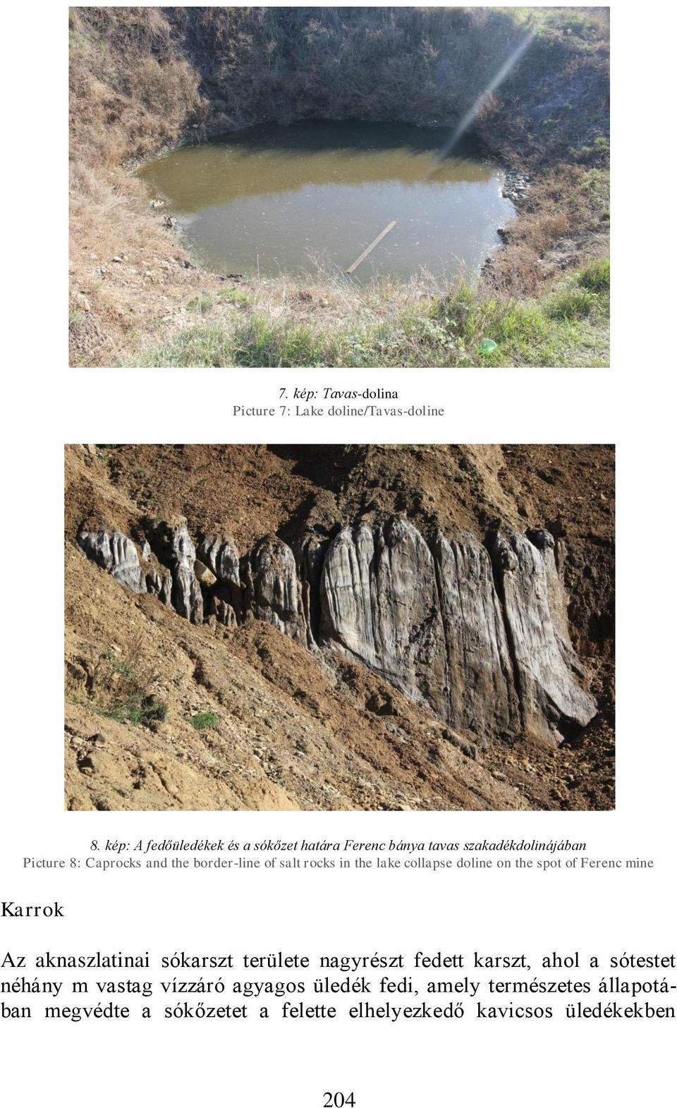 of salt rocks in the lake collapse doline on the spot of Ferenc mine Karrok Az aknaszlatinai sókarszt területe