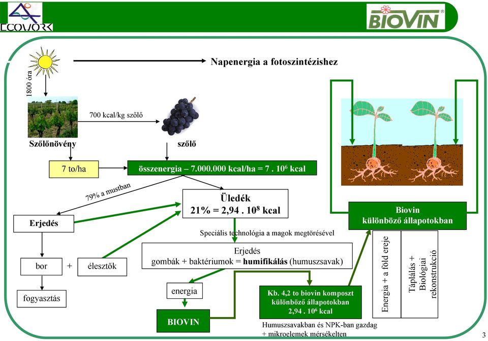10 8 kcal Speciális technológia a magok megtörésével Biovin különböző állapotokban bor fogyasztás + élesztők Erjedés gombák +