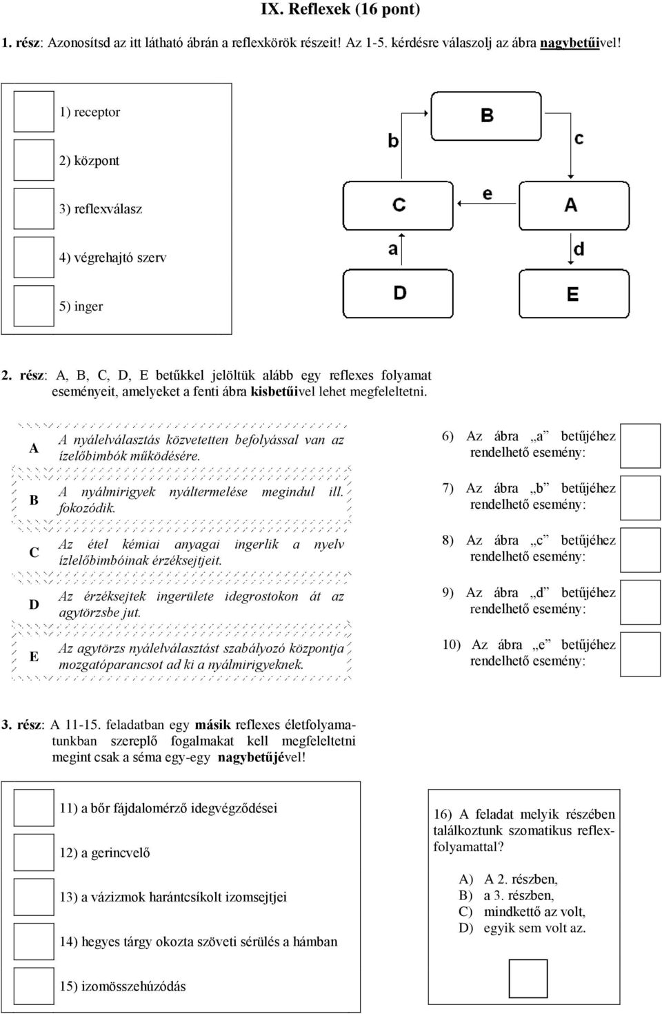 A B A nyálelválasztás közvetetten befolyással van az ízelőbimbók működésére. A nyálmirigyek nyáltermelése megindul ill. fokozódik.