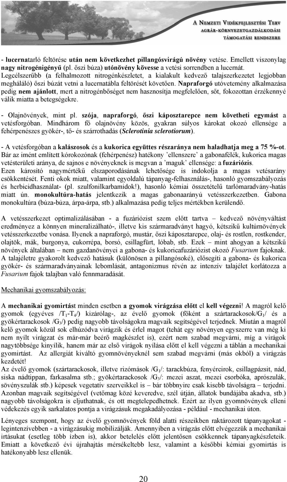 Napraforgó utóvetemény alkalmazása pedig nem ajánlott, mert a nitrogénbőséget nem hasznosítja megfelelően, sőt, fokozottan érzékennyé válik miatta a betegségekre. - Olajnövények, mint pl.